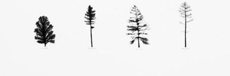FlannaghFitz's profile banner image