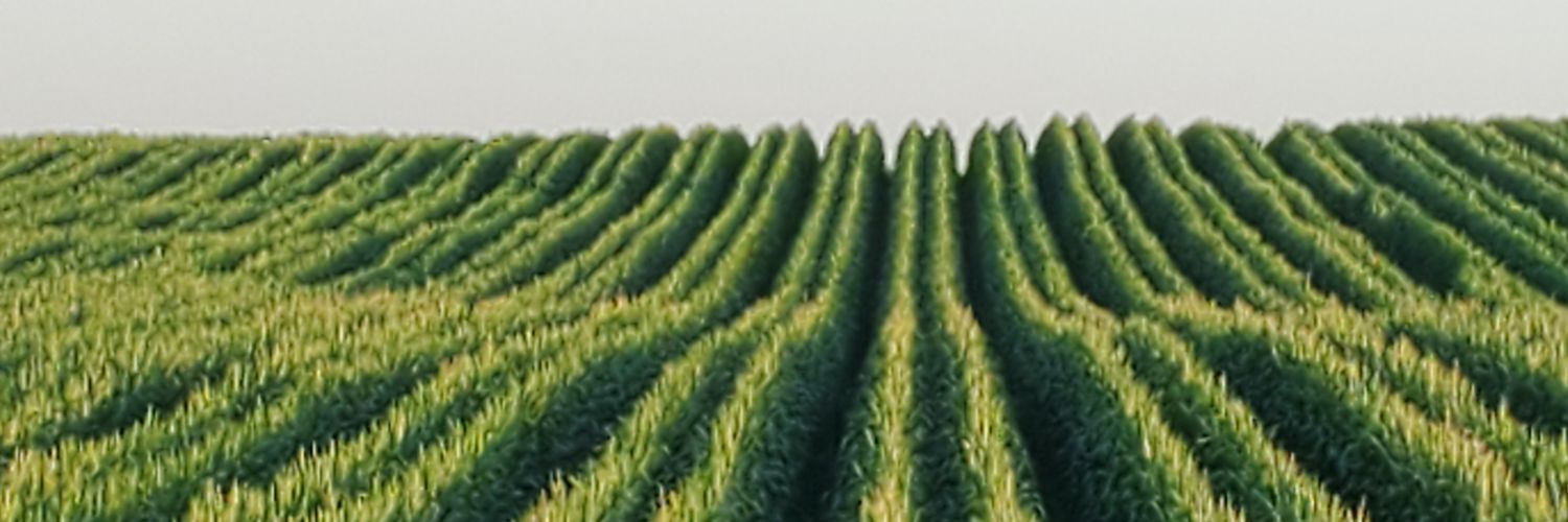 Adam Nechanicky banner