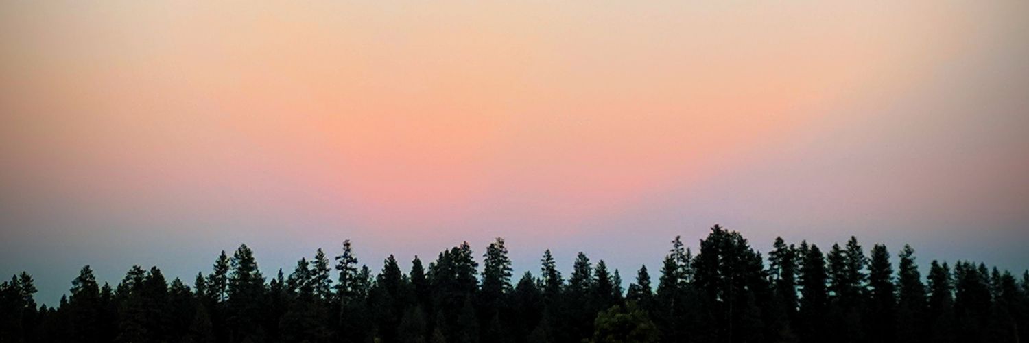 ANAnomalous1's profile banner image