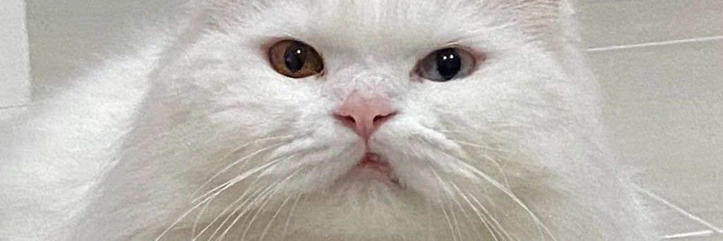 mrsqns's profile banner image