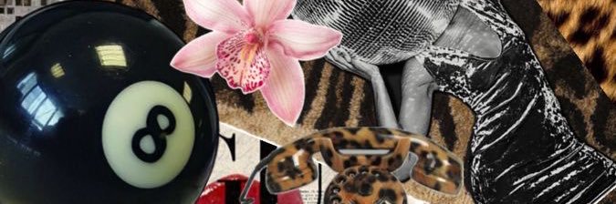 ninacarrillo_'s profile banner image