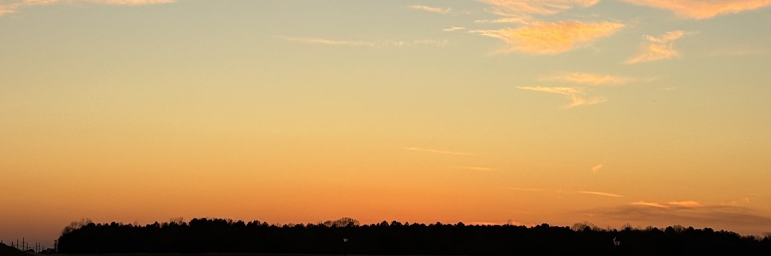 _shomojo's profile banner image