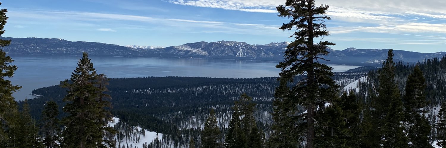 PureBloodPepe banner