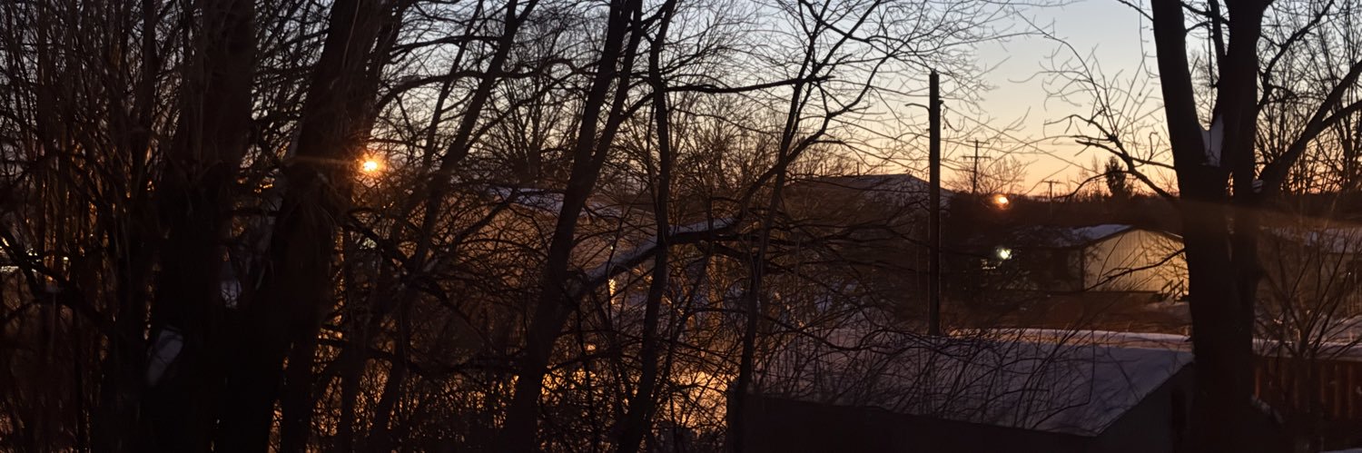 lilnicotinee's profile banner image
