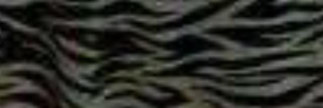 Q8OOSara's profile banner image