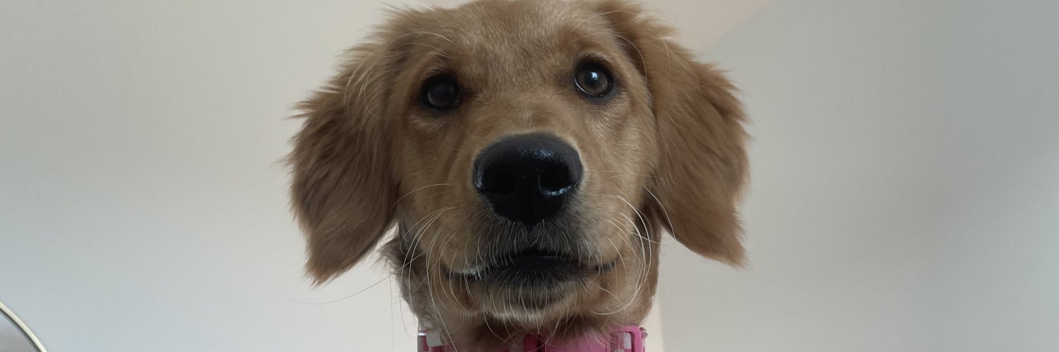 shay_pool's profile banner image