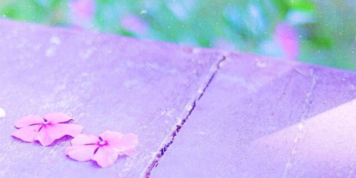 wings9o's profile banner image
