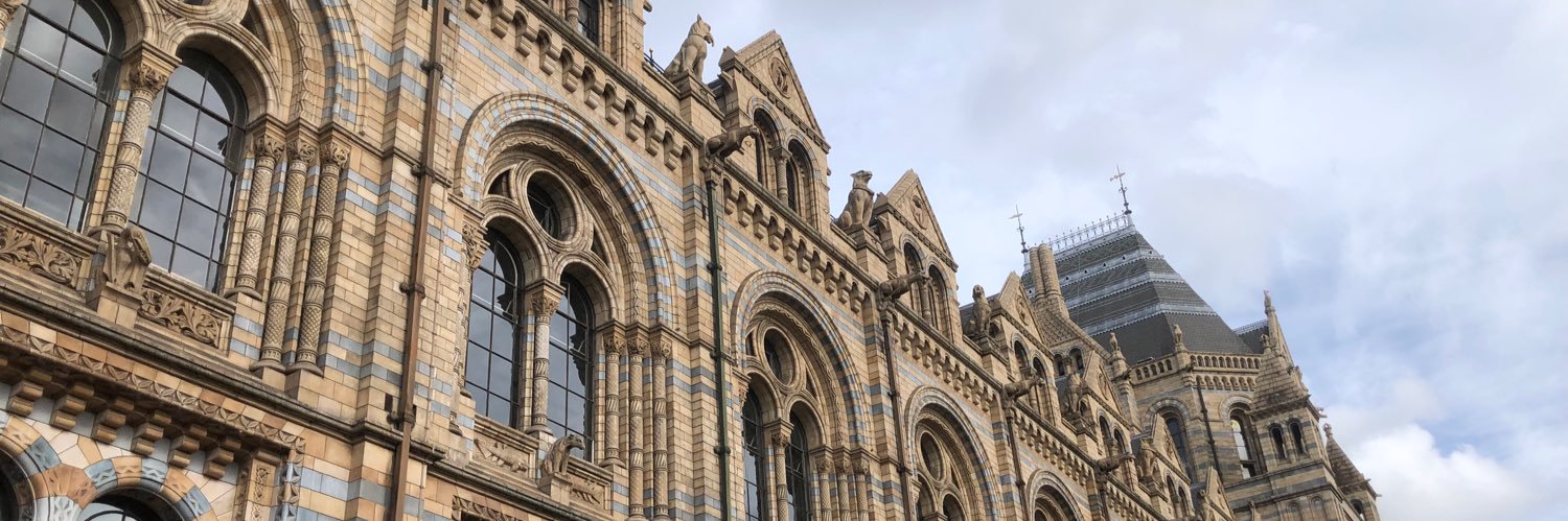 Mark David Brett banner