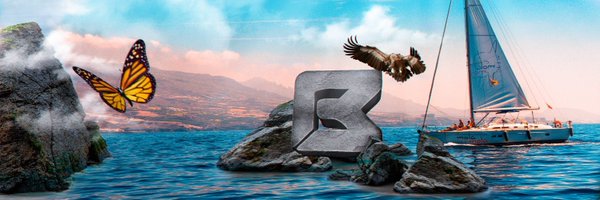 Biramic Profile Banner