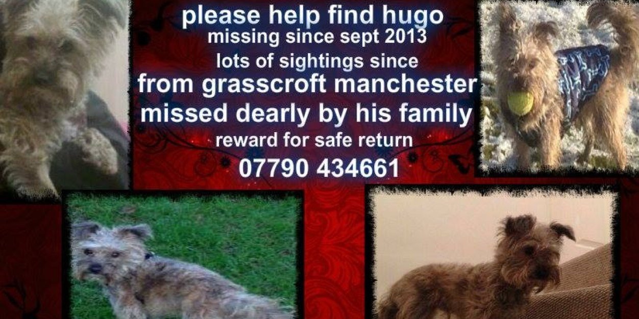 HUGOMISSINGDOG's profile banner image