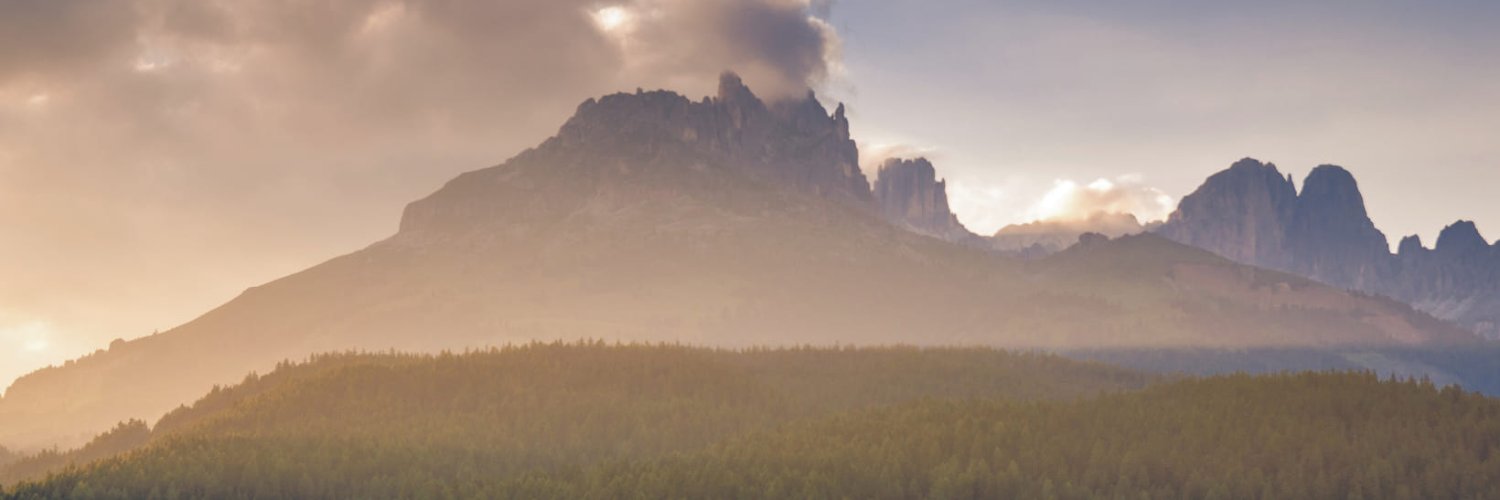 tylerfeed's profile banner image