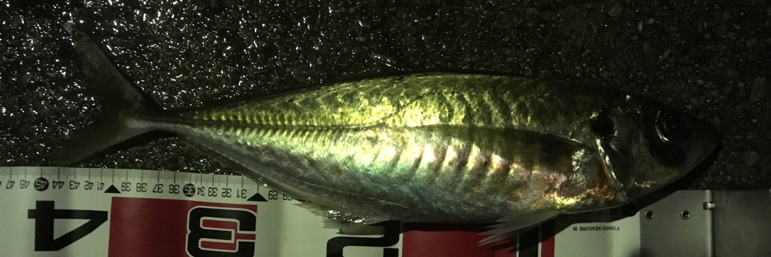 gillmaster2's profile banner image