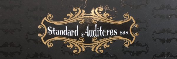 StandardAuditores Profile Banner