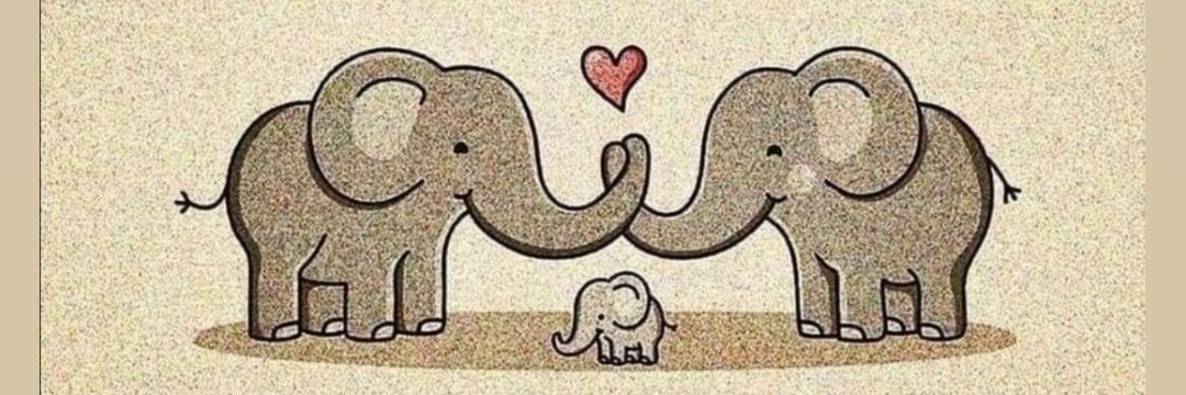 perezrivas81's profile banner image