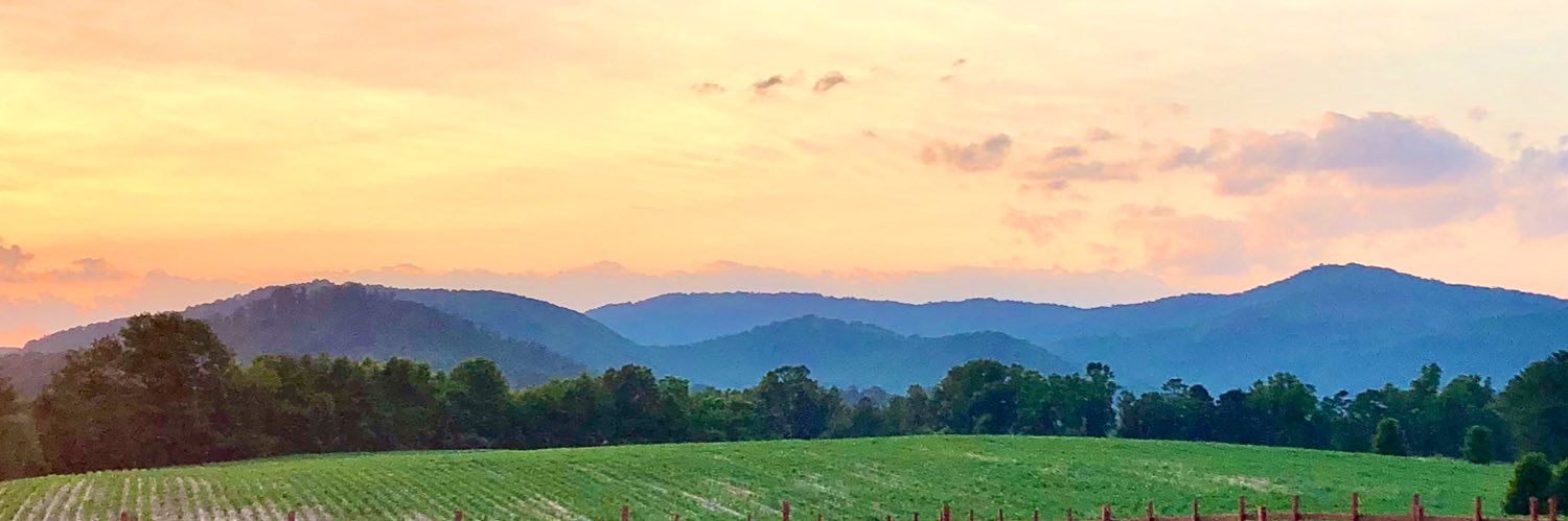 Mary Phillips banner