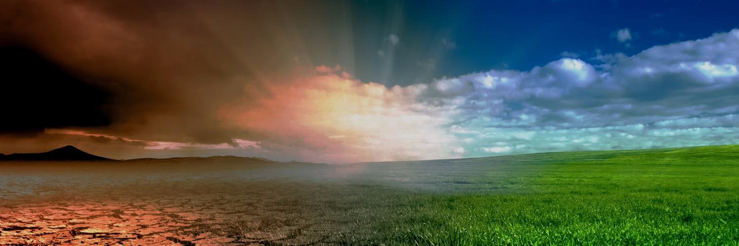 TilledSoil's profile banner image