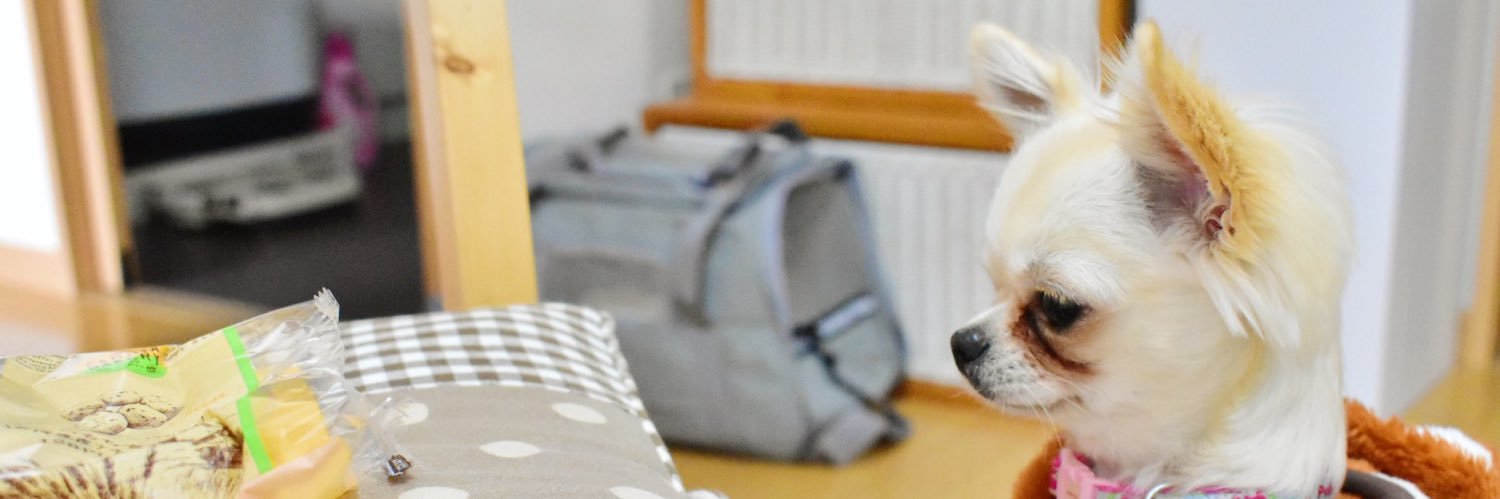 MomokaRyuki's profile banner image