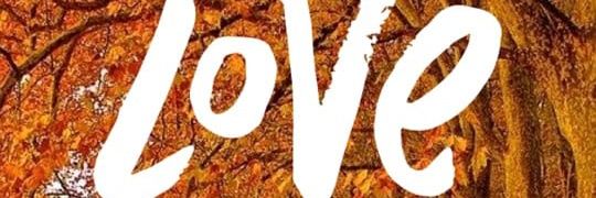 kiziiriwisdom's profile banner image