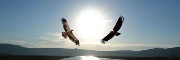 La_Pocha Profile Banner