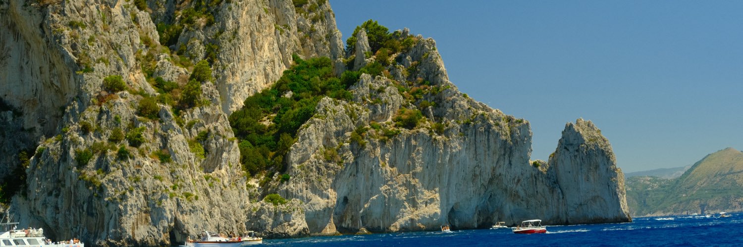MangoMussoliini's profile banner image