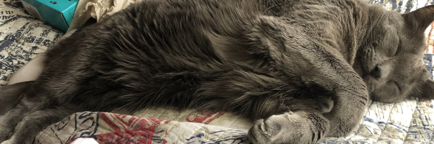 Lauren Drapes banner