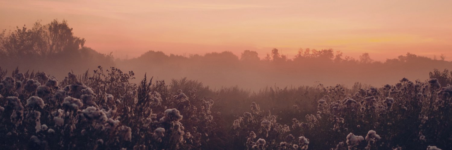 false_passion's profile banner image