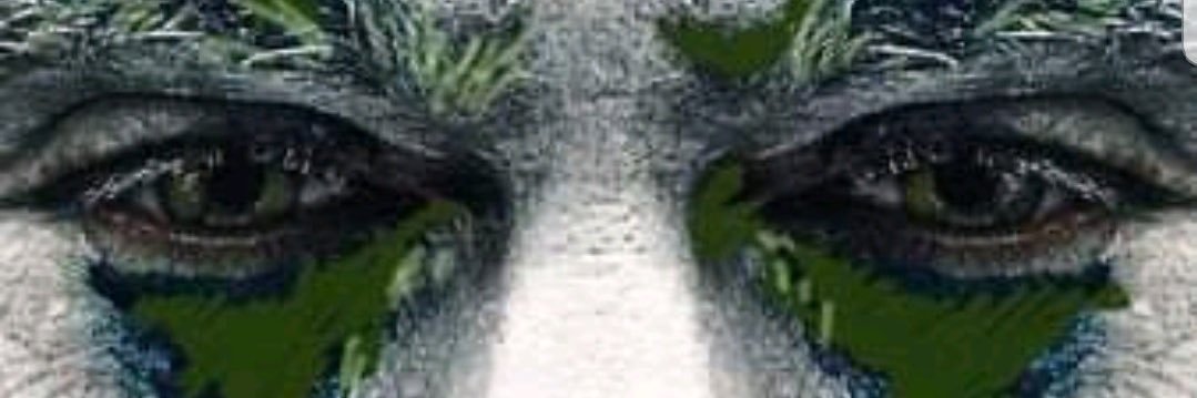 pecolx's profile banner image