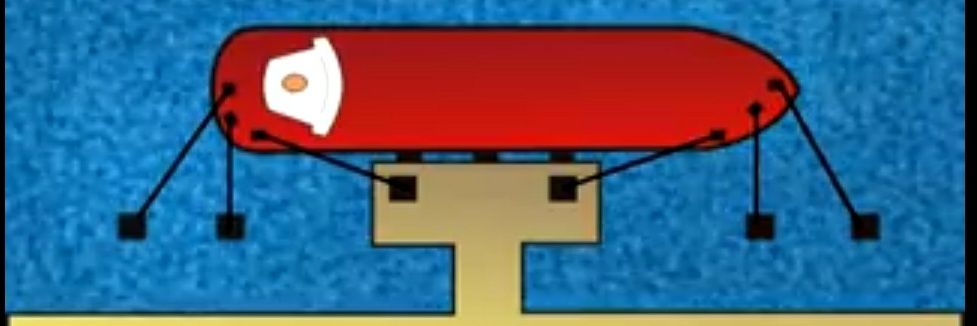 rizidollar's profile banner image