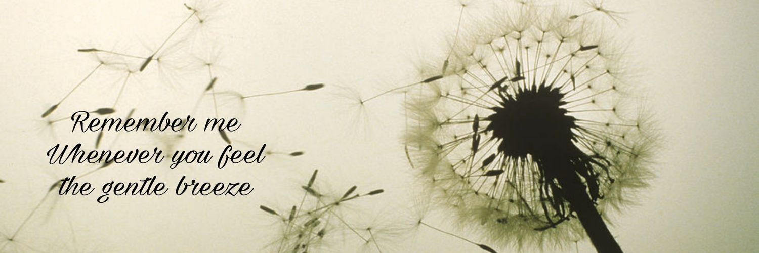 stevengarupa's profile banner image