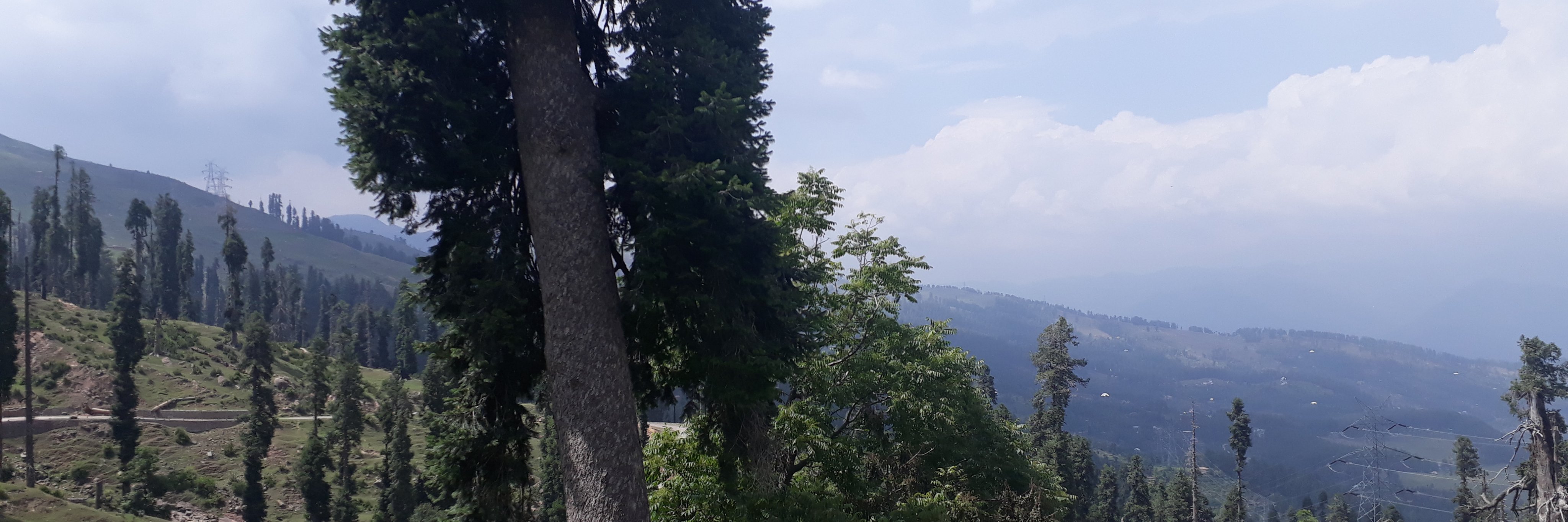 aartiksharma's profile banner image