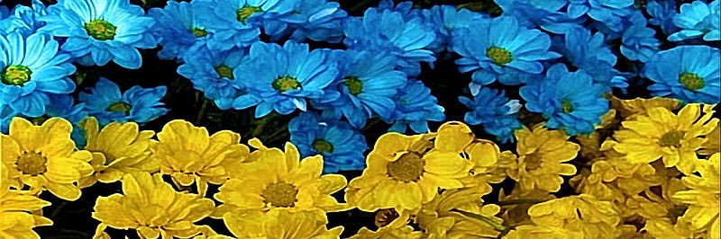 sitnspinster's profile banner image