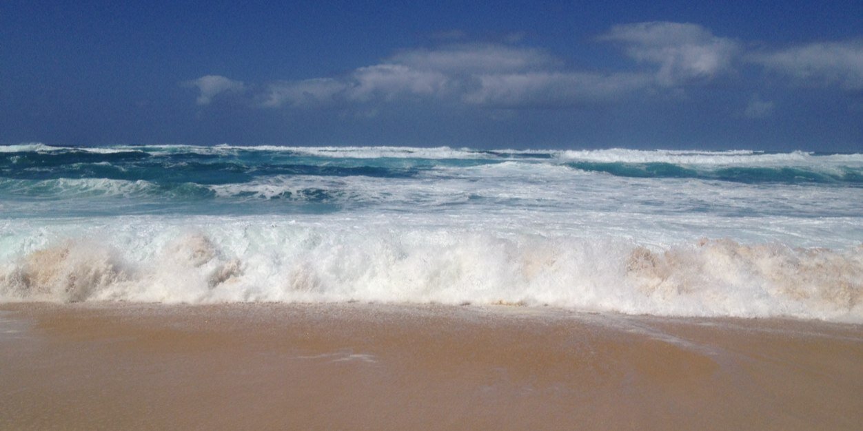 Amanda Blake Davis banner