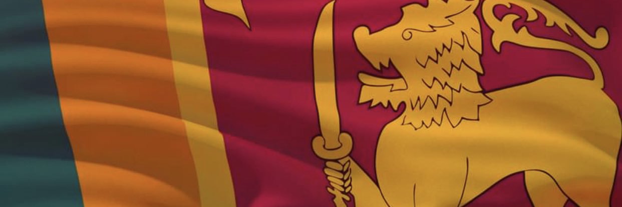 Rohitha Rajapaksa banner