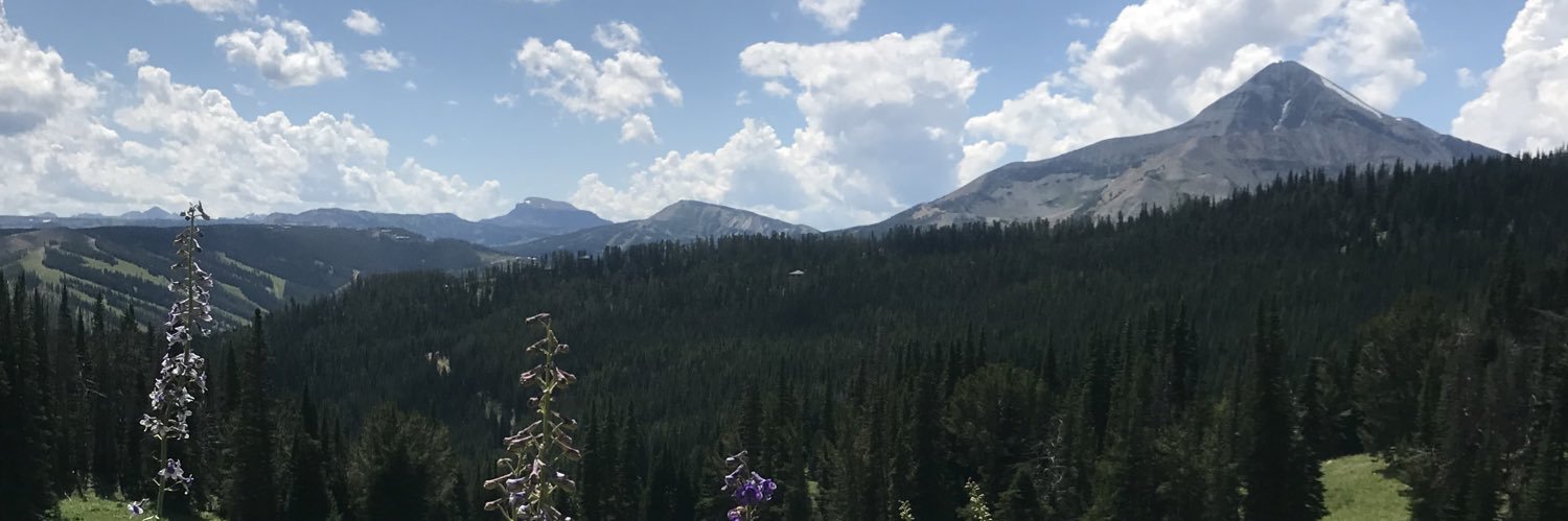 HeidiVance's profile banner image