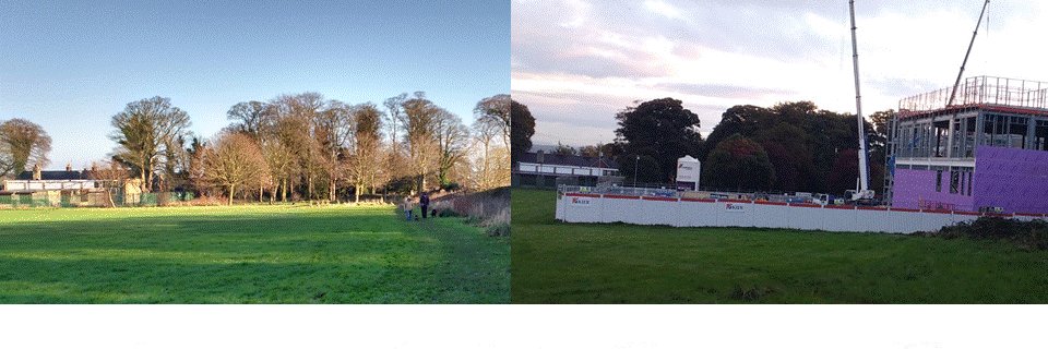 Save Woolton Wood 🍃 💚🍃 banner