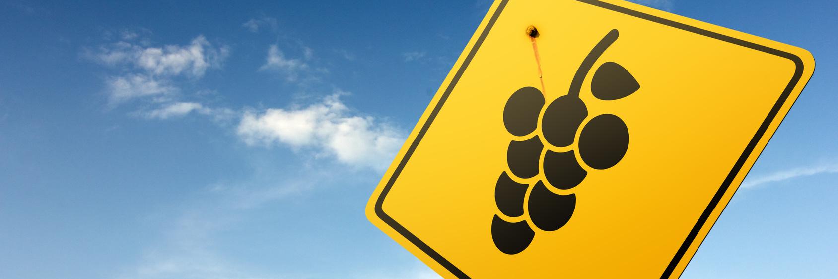 SocialVignerons's profile banner image