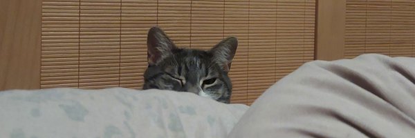 connyblah Profile Banner