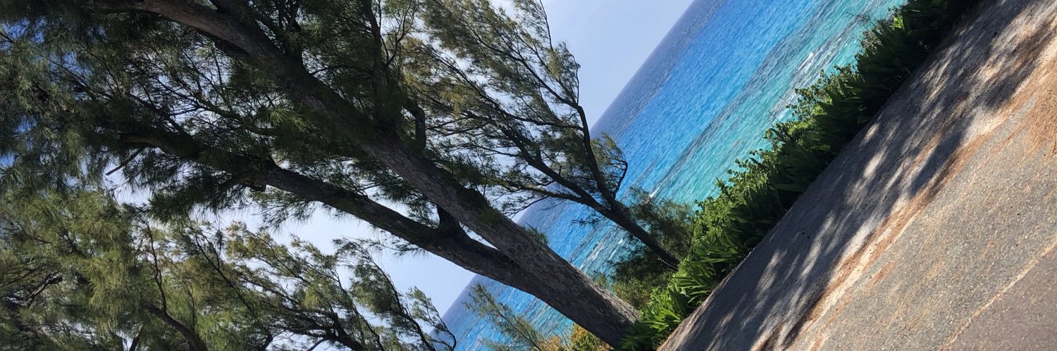 mswizzy24's profile banner image