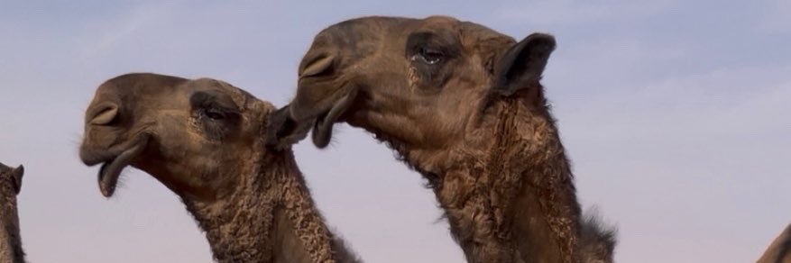 عبدالله banner