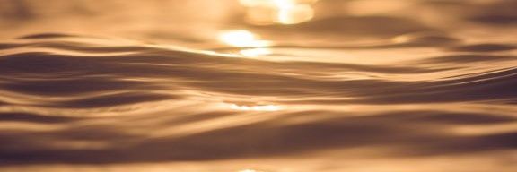 bbjorndza's profile banner image