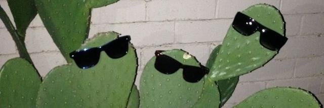 brunch_time_'s profile banner image