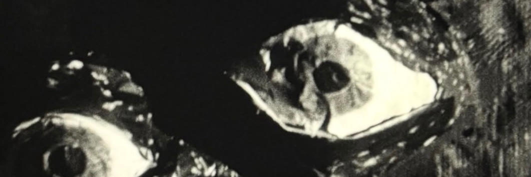 virgohermit's profile banner image