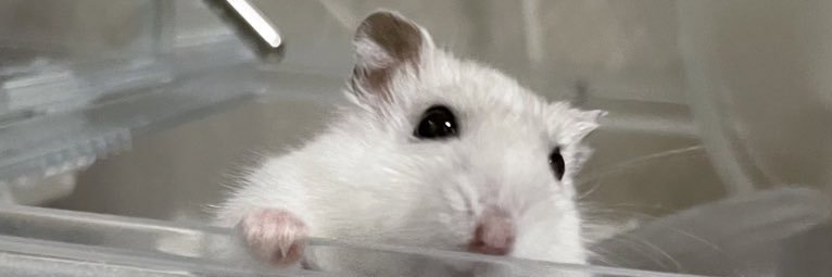 mi_pi_22's profile banner image