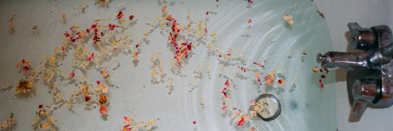 high_n_wild's profile banner image