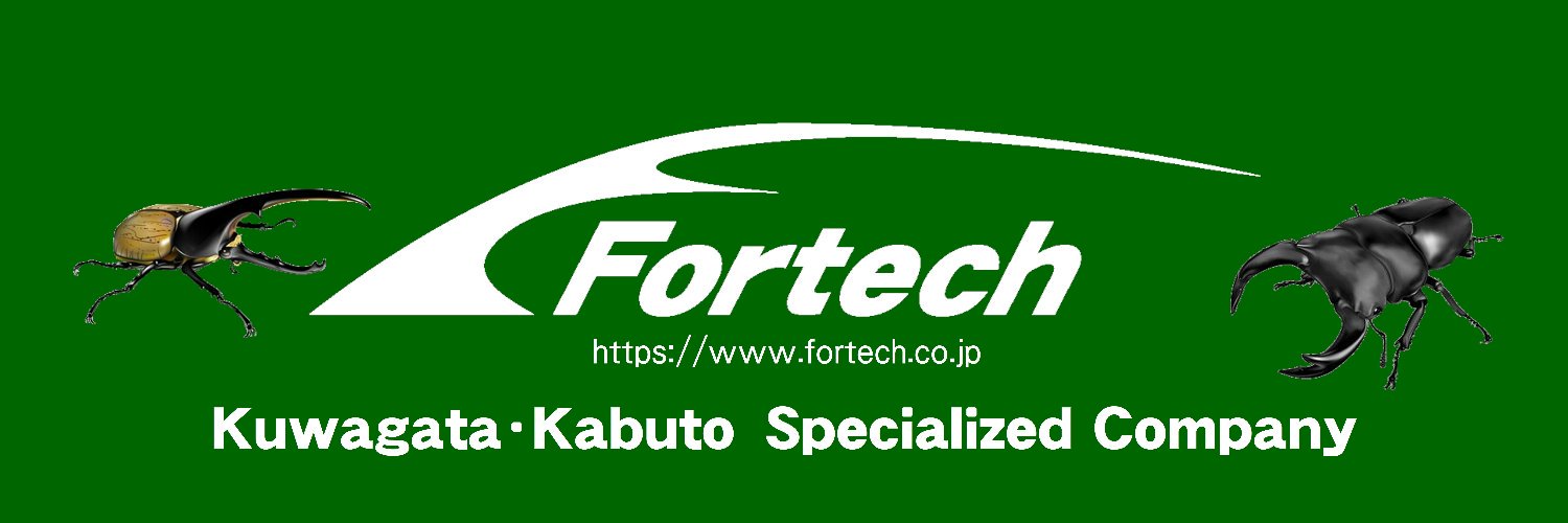 ㍿フォーテック【公式】(BeetlePlaza) banner