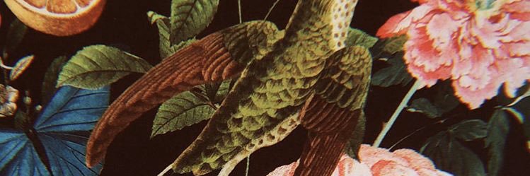 crismaiorano's profile banner image
