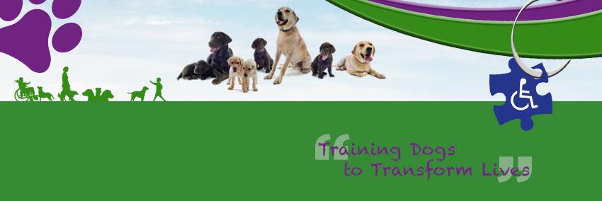 assistancedogsni banner