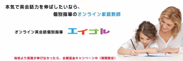 FlexEIGORU's profile banner image