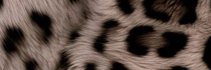 kritharosoupa's profile banner image