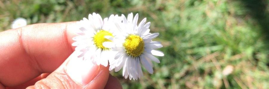hllblbn's profile banner image